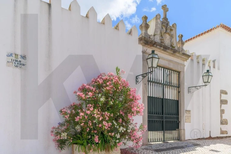 Quinta T9 para Venda em Cadaval e Pêro Moniz Foto 42