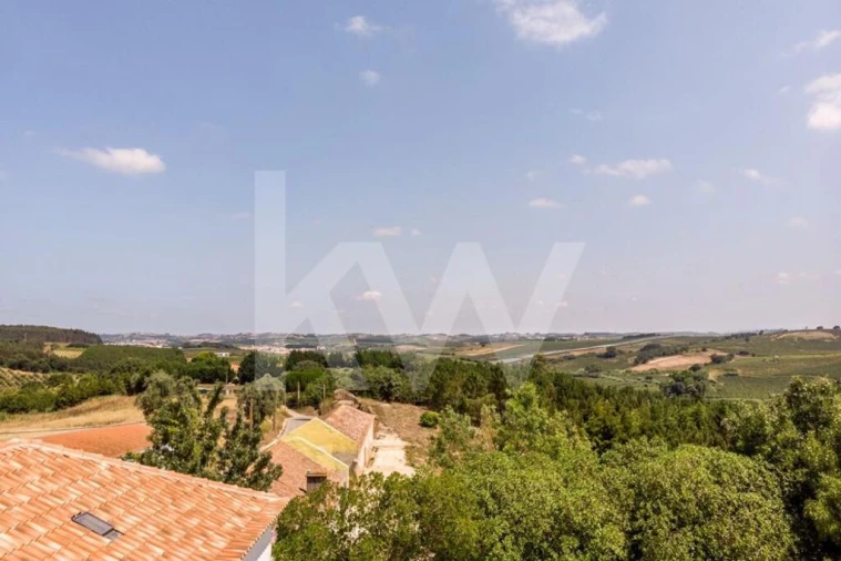 Quinta T9 para Venda em Cadaval e Pêro Moniz Foto 71