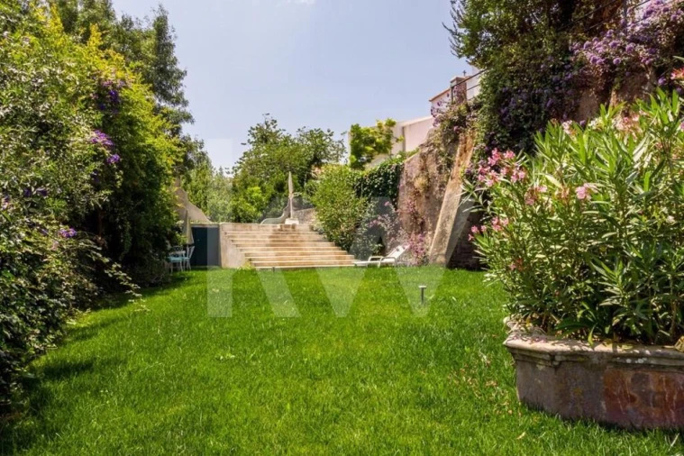 Quinta T9 para Venda em Cadaval e Pêro Moniz Foto 38