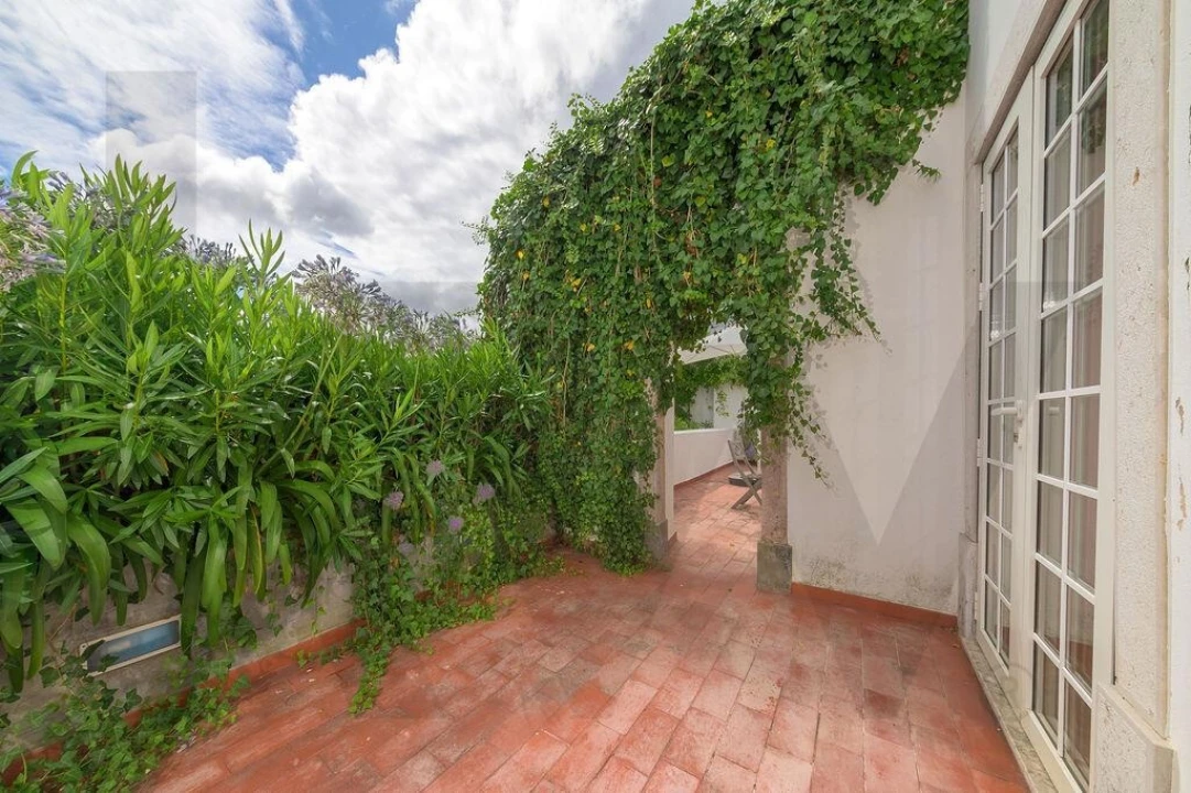 Quinta T9 para Venda em Cadaval e Pêro Moniz Foto 43