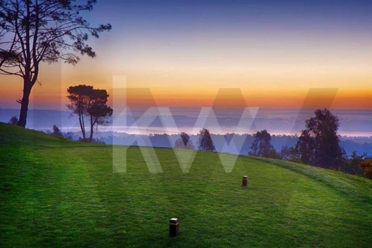 Moradia T3 para Venda em Vau Foto 9