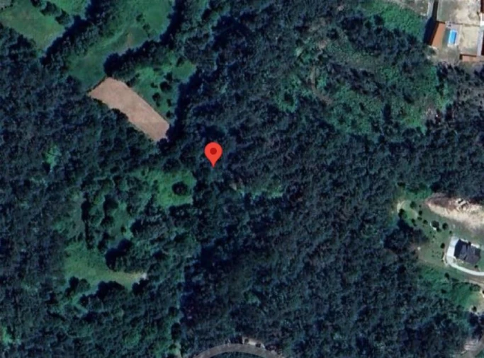 Terreno para Venda em Pias Foto 3