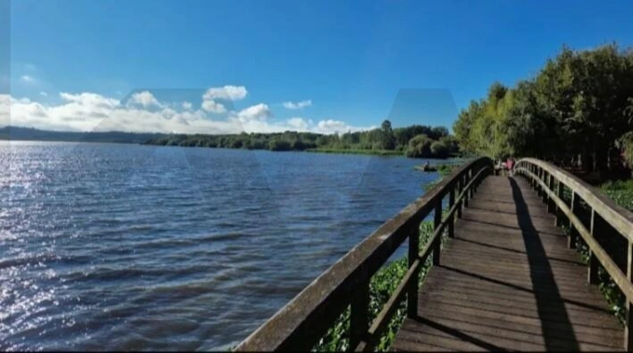 Terreno para Venda em Travassô e Óis da Ribeira Foto 15