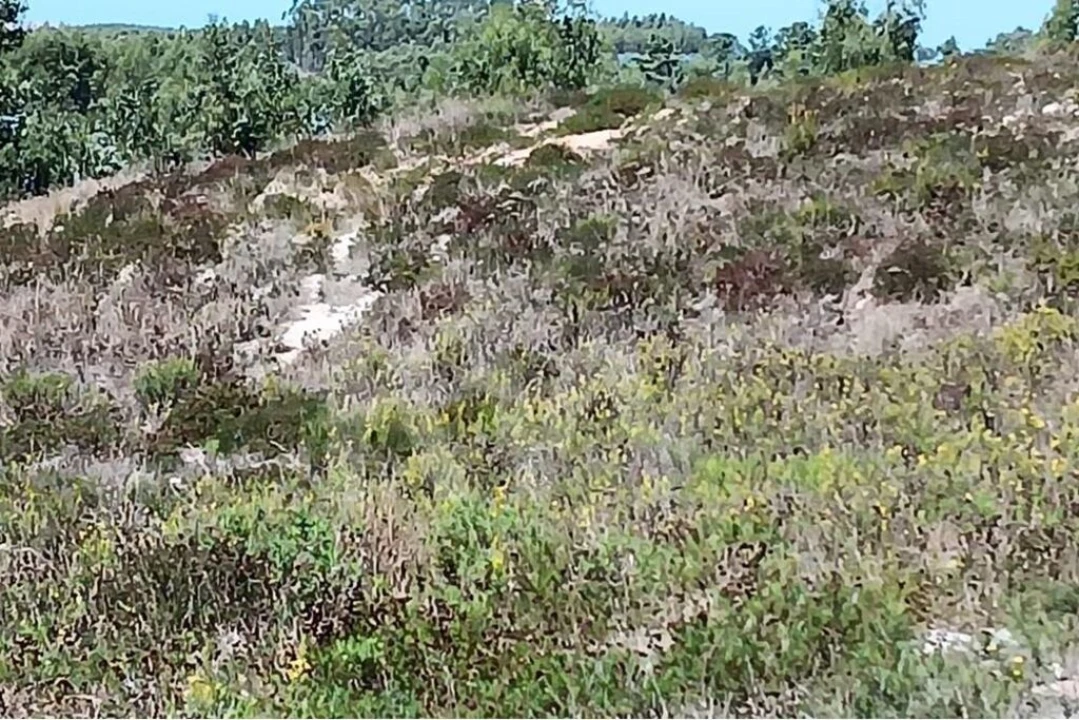 Terreno para Venda em Ramalhal Foto 5