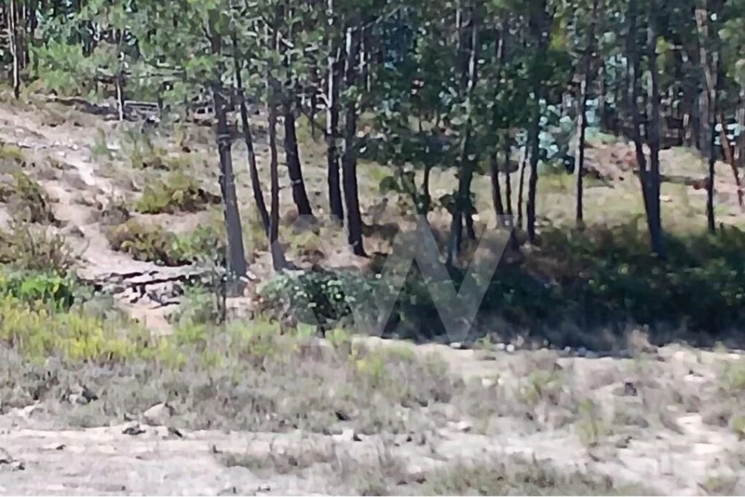 Terreno para Venda em Ramalhal Foto 9