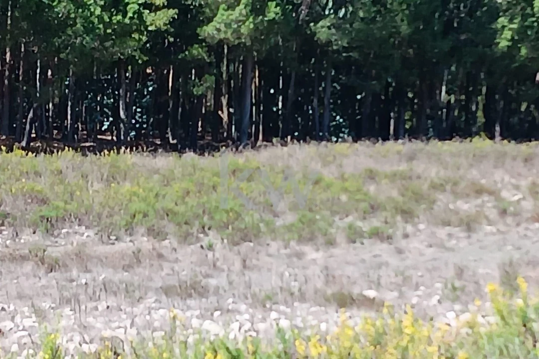 Terreno para Venda em Ramalhal Foto 16