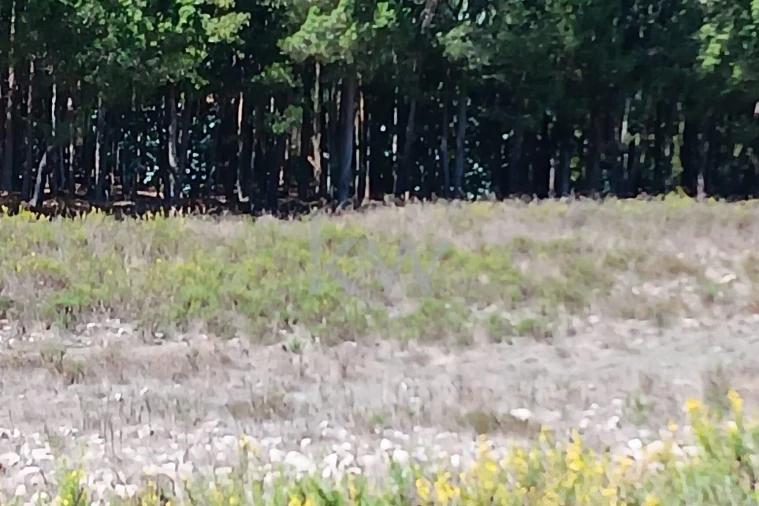 Terreno para Venda em Ramalhal Foto 16