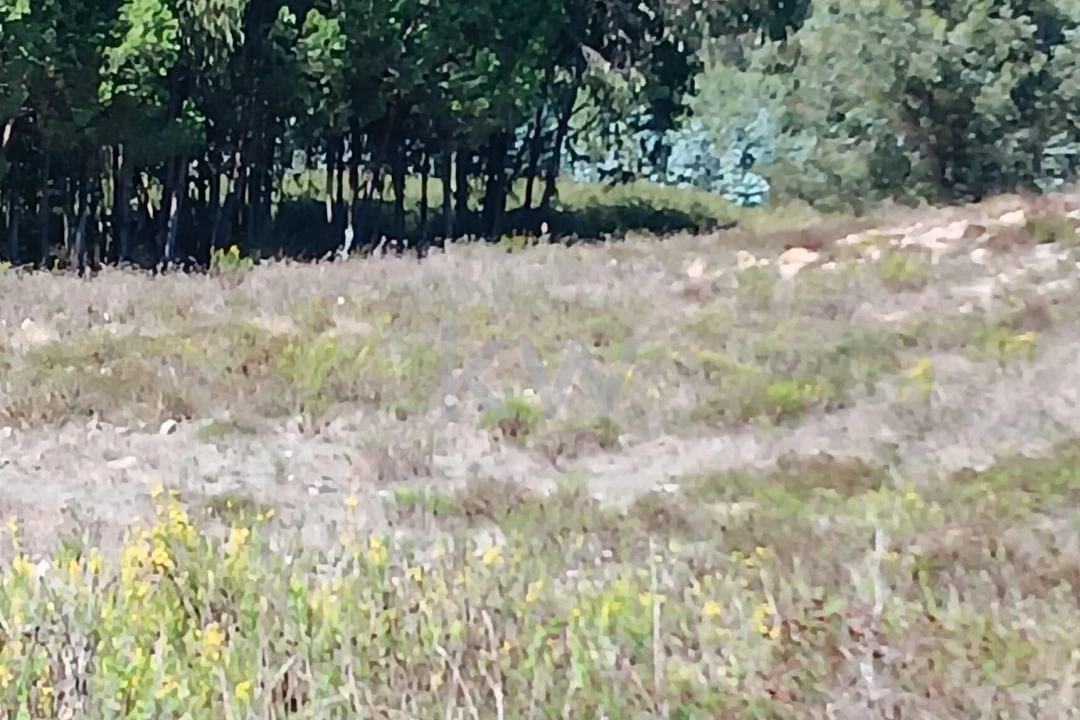 Terreno para Venda em Ramalhal Foto 15