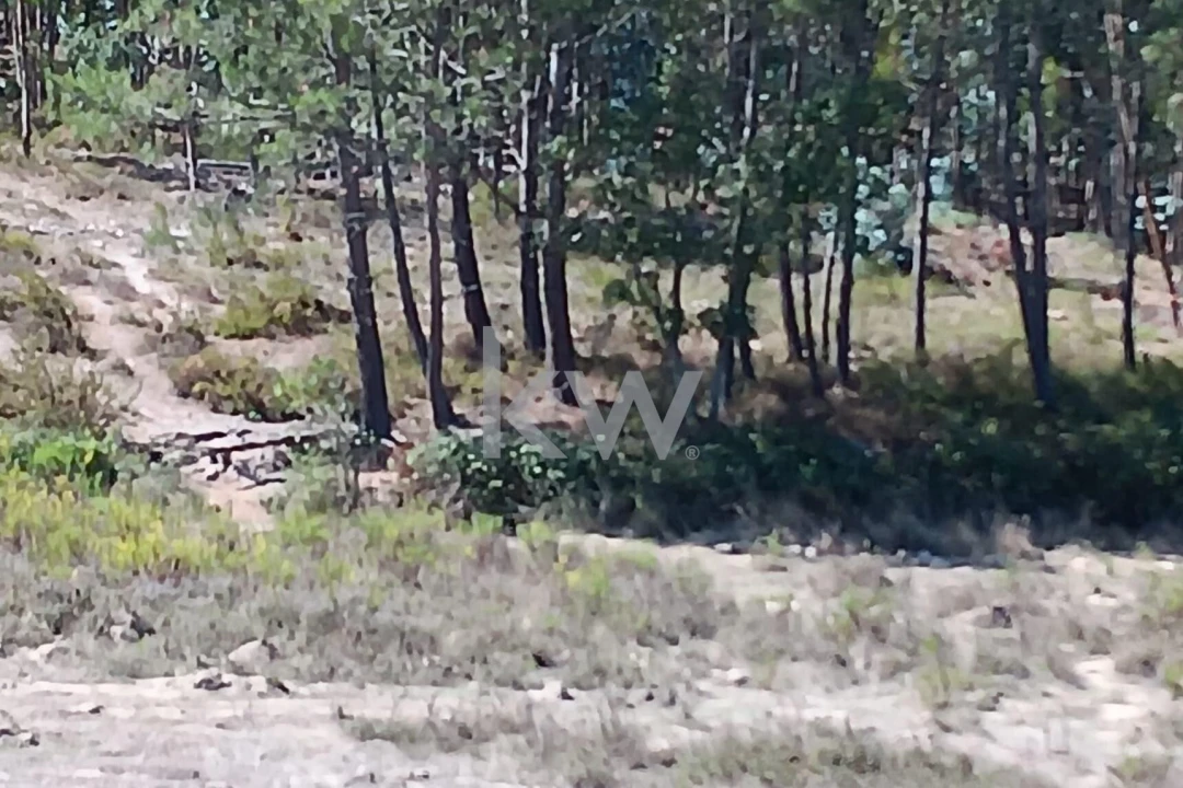 Terreno para Venda em Ramalhal Foto 18