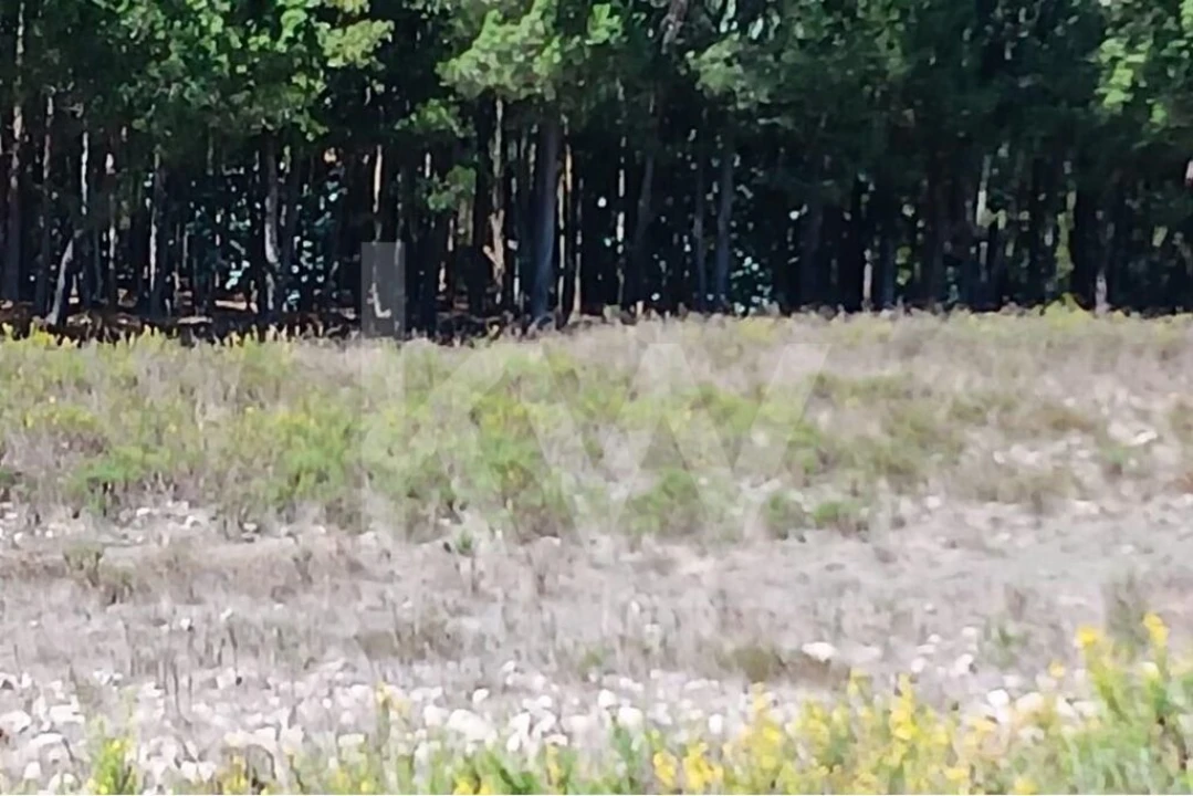 Terreno para Venda em Ramalhal Foto 7