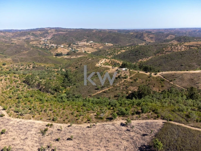 Terreno para Venda em Salir Foto 13