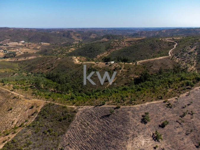 Terreno para Venda em Salir Foto 4
