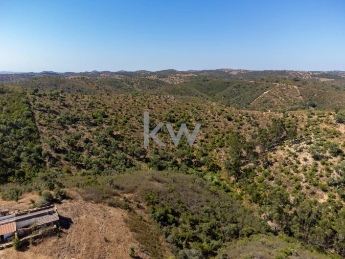 Terreno para Venda em Salir Foto 6