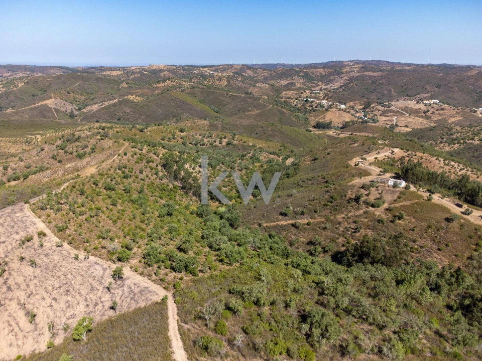 Terreno para Venda em Salir Foto 3
