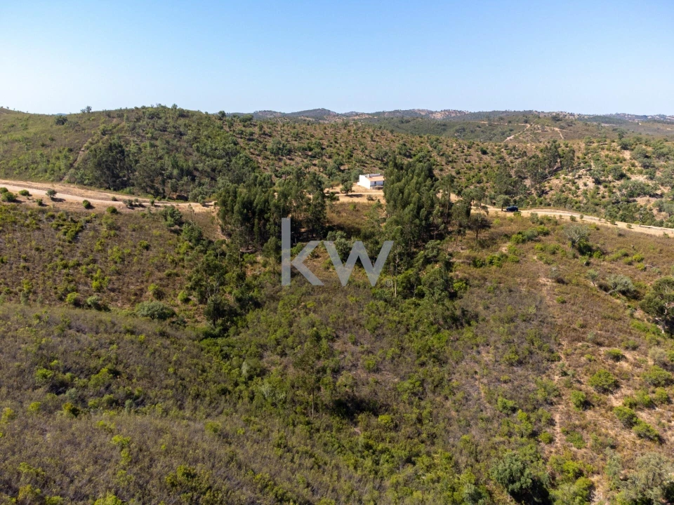 Terreno para Venda em Salir Foto 7