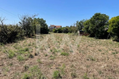 Terreno para Venda em Cacia