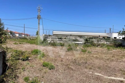 Terreno para Venda em Cacia