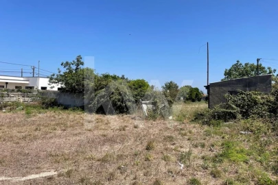 Terreno para Venda em Cacia