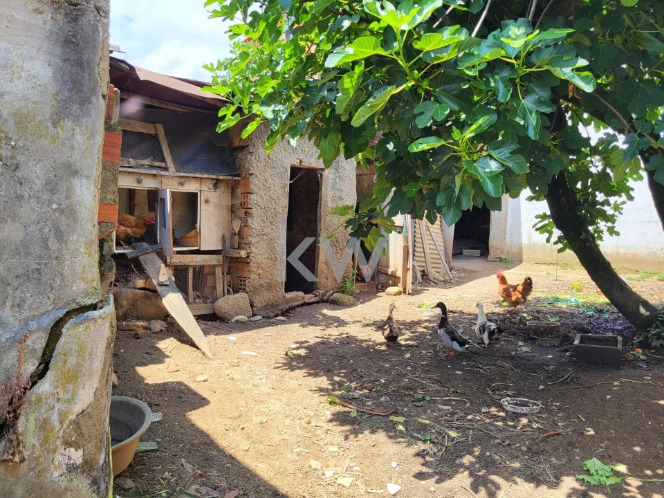 Terreno para Venda em Barrô e Aguada de Baixo Foto 10