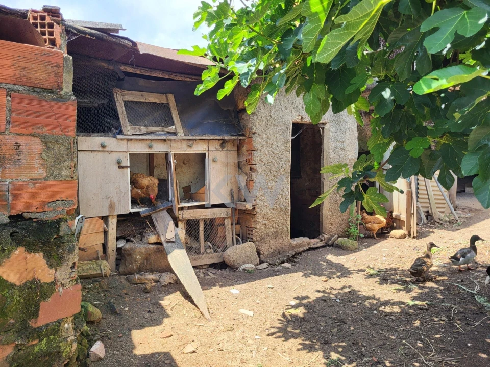 Terreno para Venda em Barrô e Aguada de Baixo Foto 12