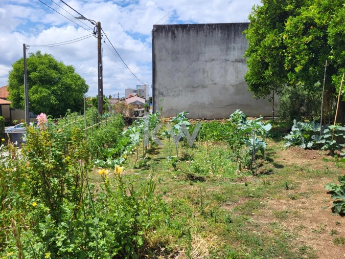 Terreno para Venda em Barrô e Aguada de Baixo Foto 23