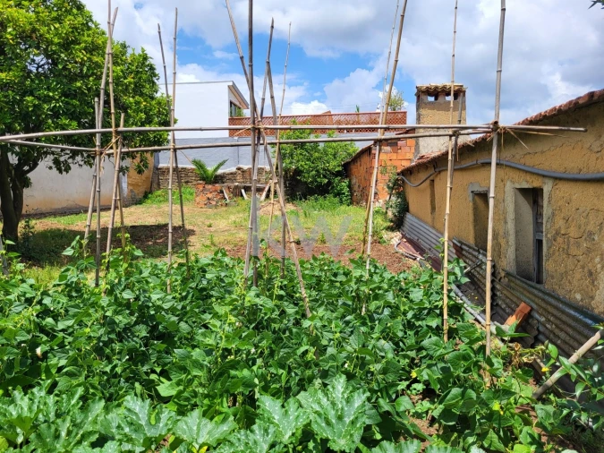 Terreno para Venda em Barrô e Aguada de Baixo Foto 25