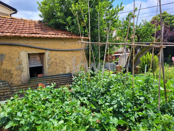 Terreno para Venda em Barrô e Aguada de Baixo Foto 31