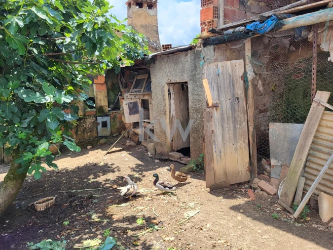 Terreno para Venda em Barrô e Aguada de Baixo Foto 14