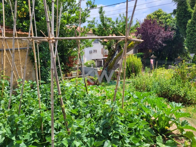 Terreno para Venda em Barrô e Aguada de Baixo Foto 32