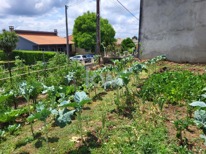 Terreno para Venda em Barrô e Aguada de Baixo Foto 33