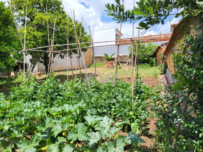 Terreno para Venda em Barrô e Aguada de Baixo Foto 21