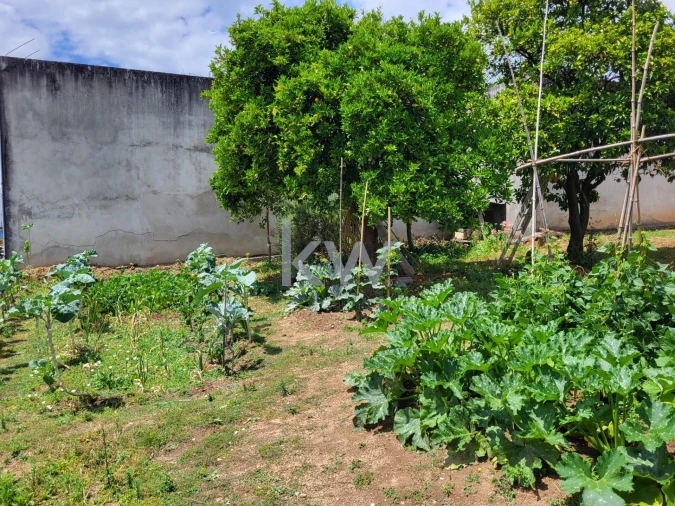 Terreno para Venda em Barrô e Aguada de Baixo Foto 24
