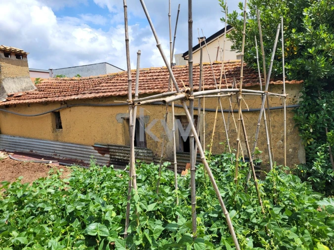 Terreno para Venda em Barrô e Aguada de Baixo Foto 26