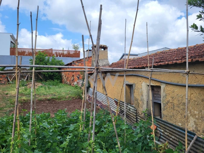Terreno para Venda em Barrô e Aguada de Baixo Foto 2