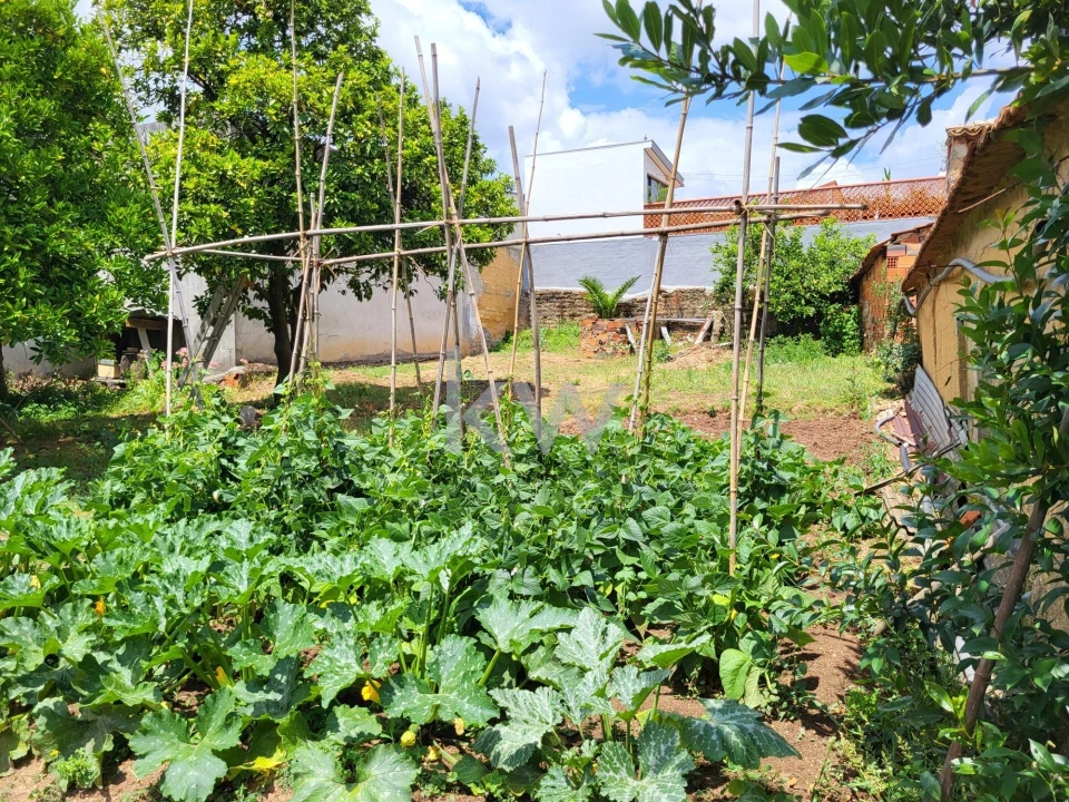 Terreno para Venda em Barrô e Aguada de Baixo Foto 22