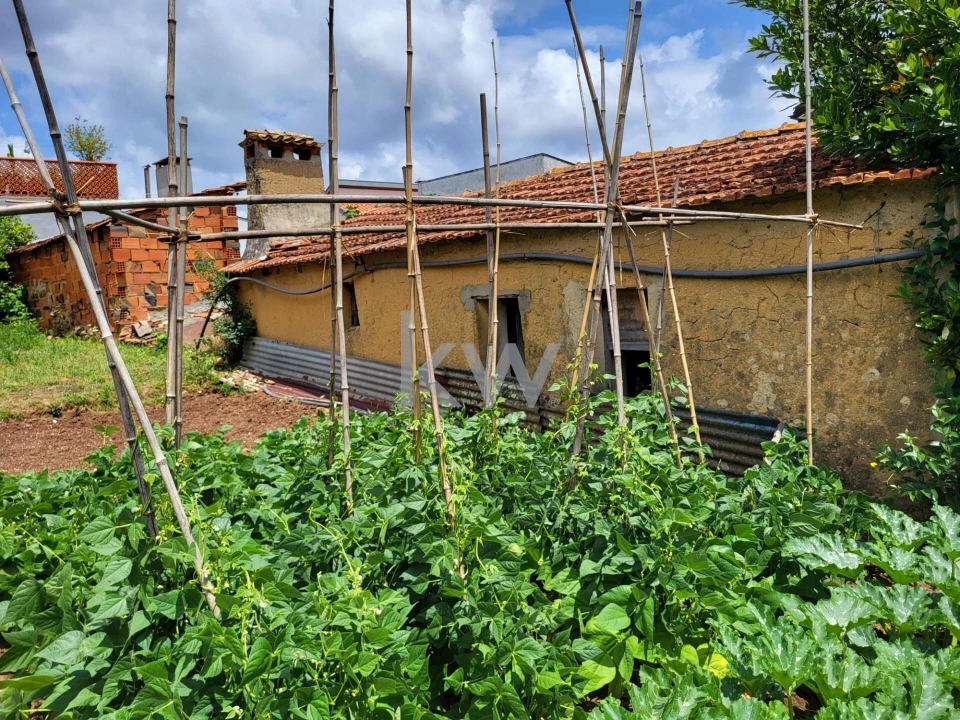 Terreno para Venda em Barrô e Aguada de Baixo Foto 19