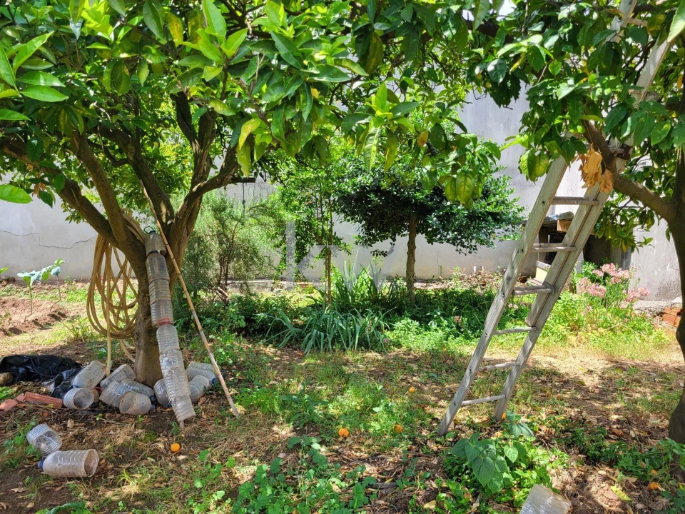 Terreno para Venda em Barrô e Aguada de Baixo Foto 28