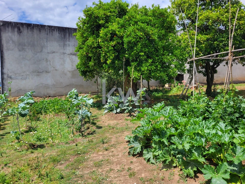Terreno para Venda em Barrô e Aguada de Baixo Foto 24