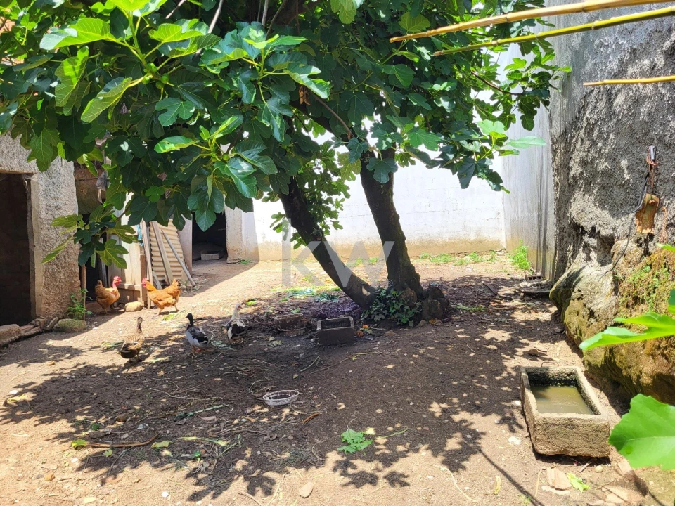 Terreno para Venda em Barrô e Aguada de Baixo Foto 11