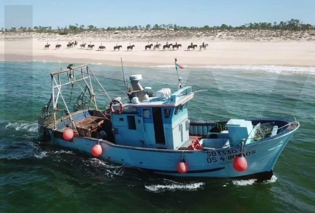 Terreno para Venda em Grândola e Santa Margarida da Serra Foto 22