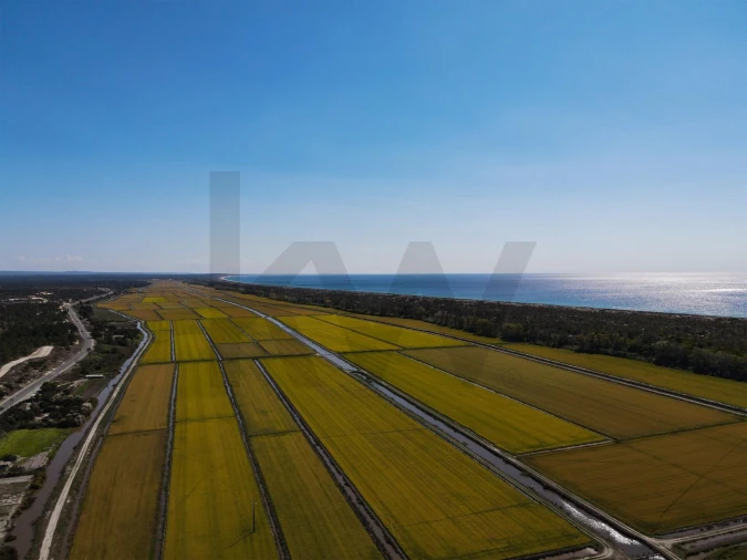 Terreno para Venda em Grândola e Santa Margarida da Serra Foto 13