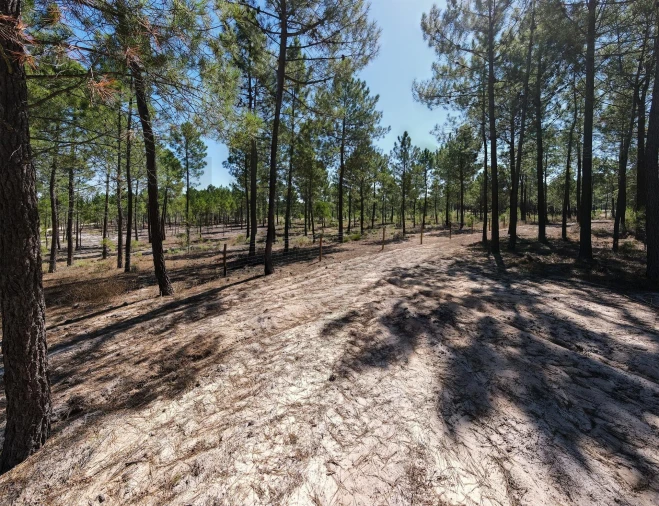 Terreno para Venda em Grândola e Santa Margarida da Serra Foto 5