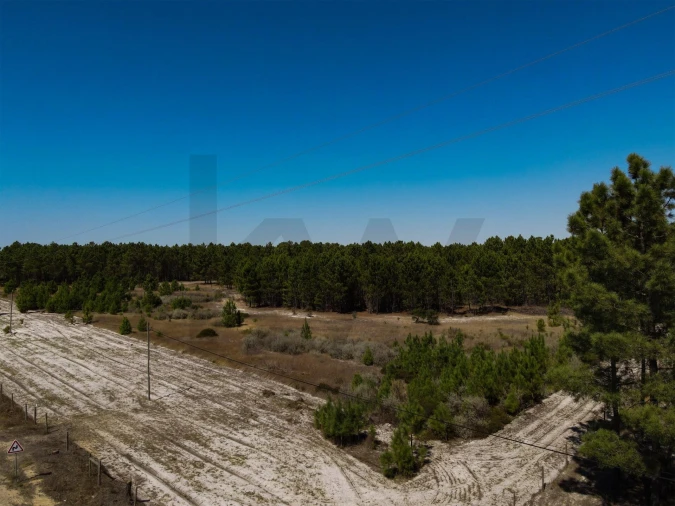 Terreno para Venda em Grândola e Santa Margarida da Serra Foto 7