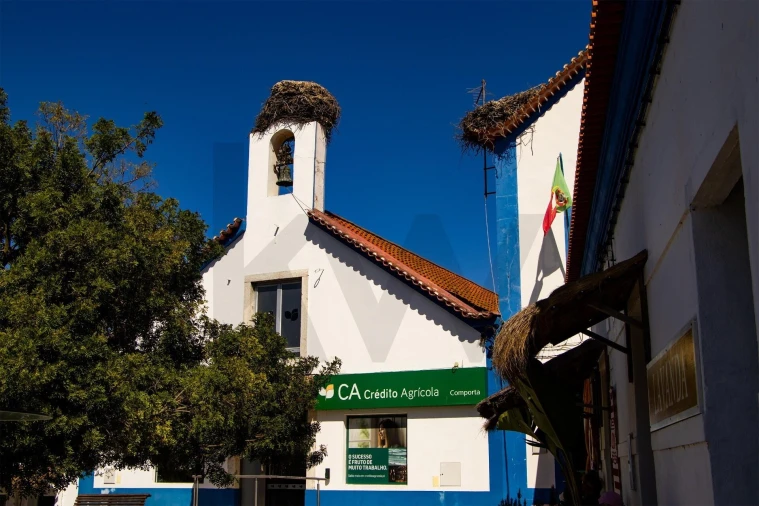 Terreno para Venda em Grândola e Santa Margarida da Serra Foto 16