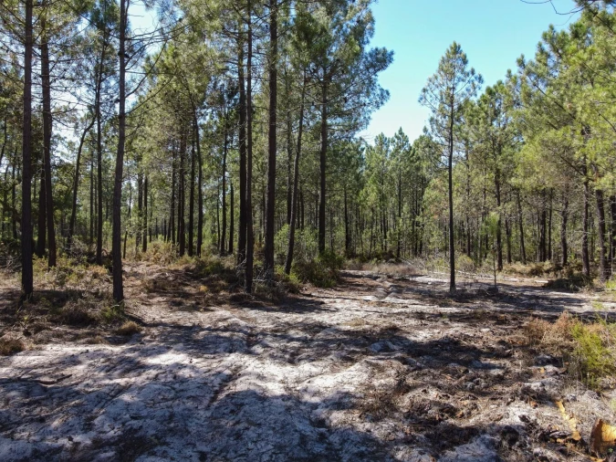 Terreno para Venda em Grândola e Santa Margarida da Serra Foto 4