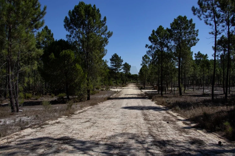 Terreno para Venda em Grândola e Santa Margarida da Serra Foto 2