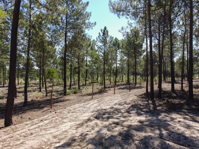 Terreno para Venda em Grândola e Santa Margarida da Serra Foto 6