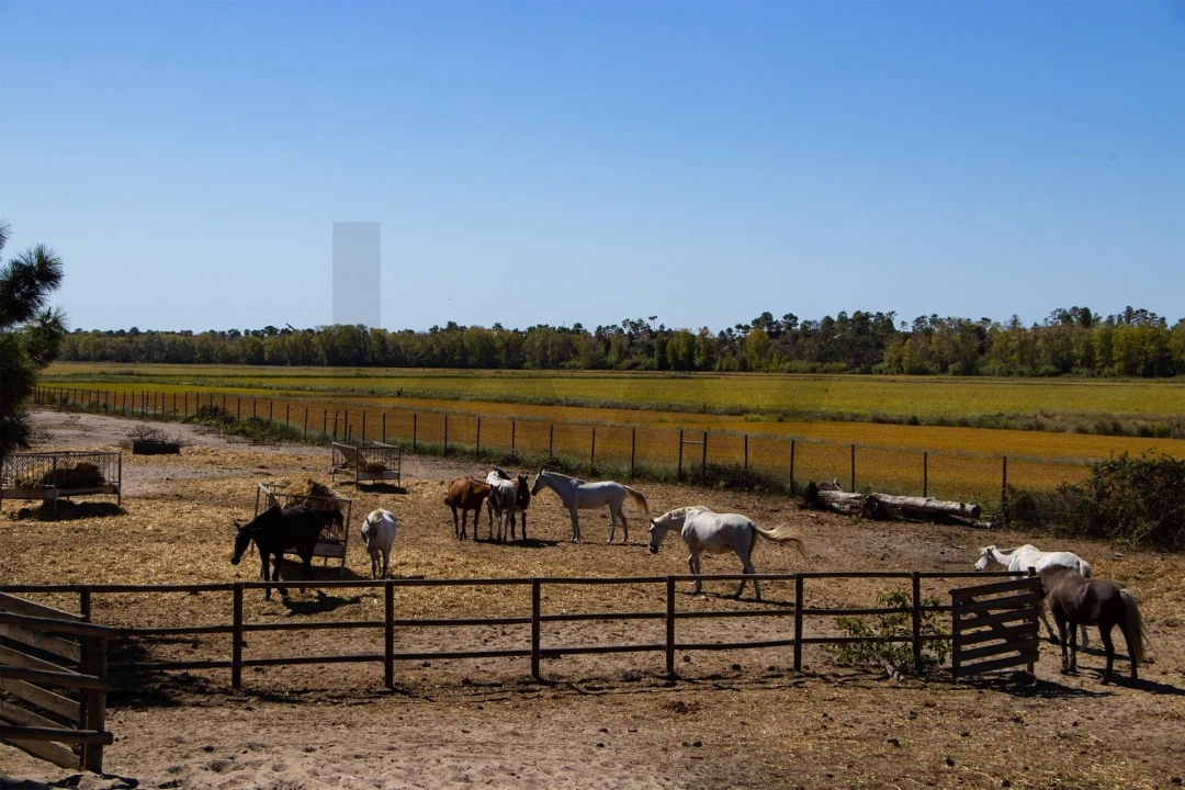 Terreno para Venda em Grândola e Santa Margarida da Serra Foto 20