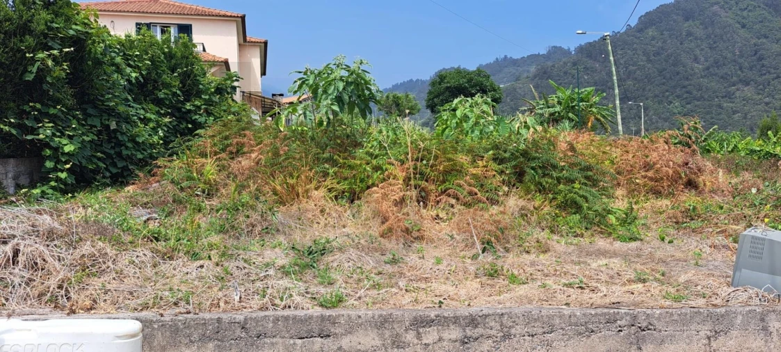 Terreno para Venda em São Roque do Faial Foto 6