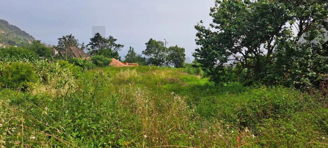 Terreno para Venda em São Roque do Faial Foto 3
